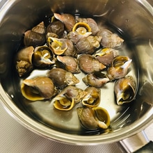 磯つぶ貝 エゾバイ の生姜煮 レシピ 作り方 By ひよこピッピ 楽天レシピ 磯つぶ貝 エゾバイ の生姜煮 レシピ 作り方 By ひよこピッピ 楽天レシピ